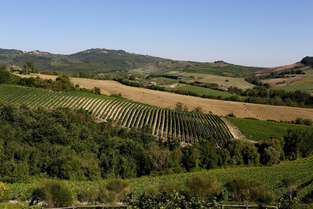 Locanda Palazzone Orvieto Exteriör bild