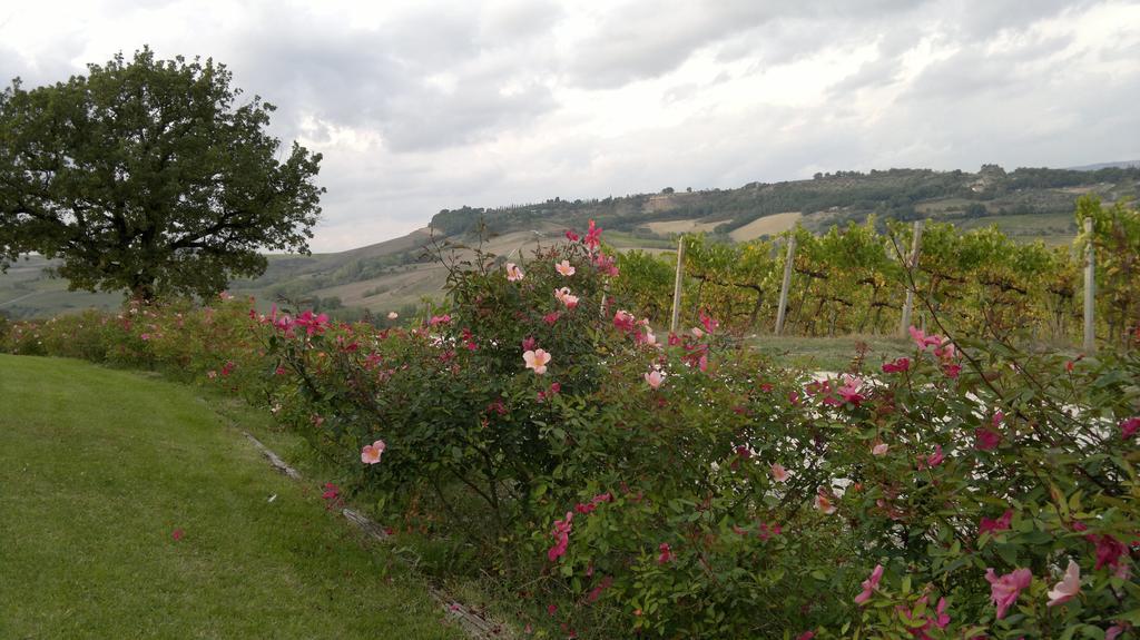 Locanda Palazzone Orvieto Exteriör bild