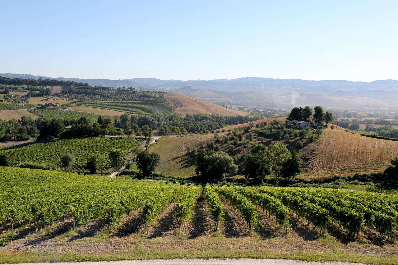 Locanda Palazzone Orvieto Exteriör bild